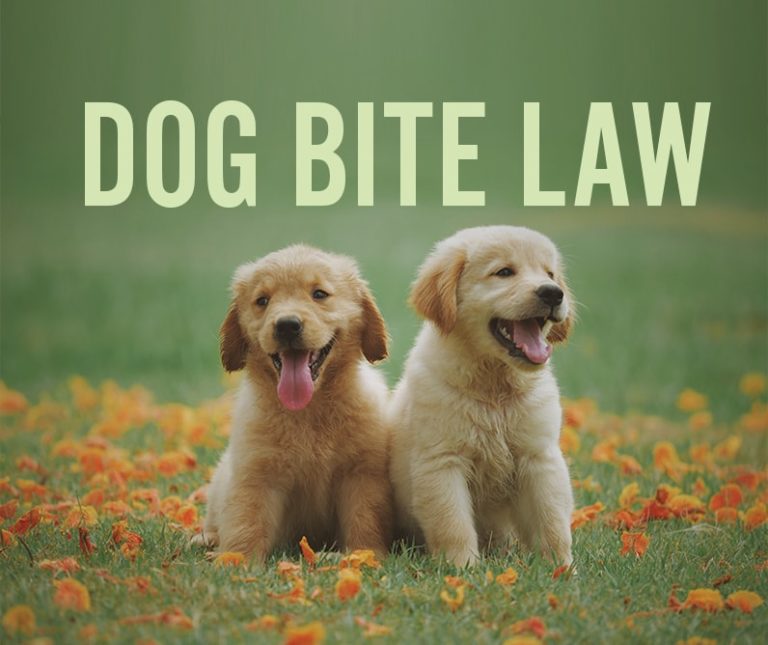 Ohio Dog Bite Laws, Includes Other Harms Caused By Dogs - Malek & Malek